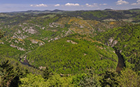 Site Natura 2000 « Haut Val d’Allier »